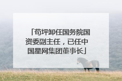 苟坪卸任国务院国资委副主任，已任中国星网集团董事长