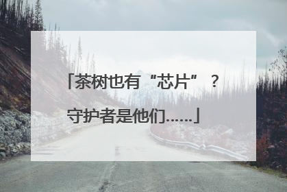 茶树也有“芯片”？守护者是他们……