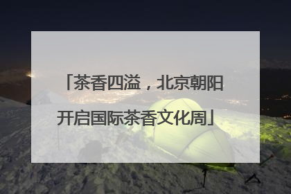 茶香四溢，北京朝阳开启国际茶香文化周