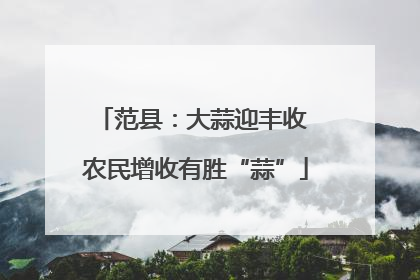 范县：大蒜迎丰收 农民增收有胜“蒜”