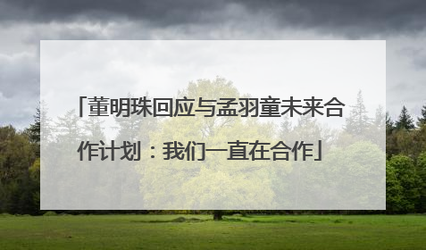 董明珠回应与孟羽童未来合作计划：我们一直在合作