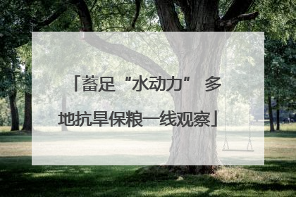 蓄足“水动力” 多地抗旱保粮一线观察