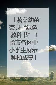 蔬菜幼苗变身“绿色教科书”！哈市各区中小学生展示种植成果