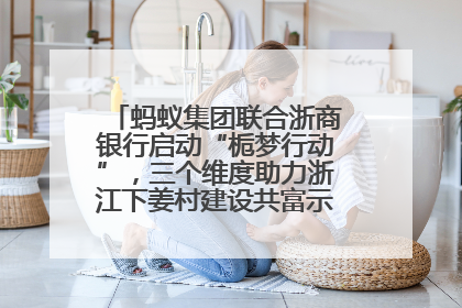 蚂蚁集团联合浙商银行启动“栀梦行动”，三个维度助力浙江下姜村建设共富示范区示范点