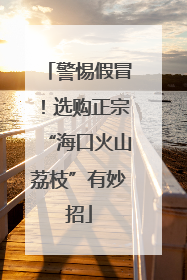警惕假冒！选购正宗“海口火山荔枝”有妙招