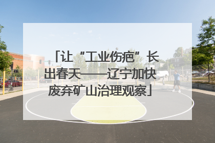 让“工业伤疤”长出春天——辽宁加快废弃矿山治理观察