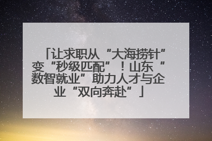 让求职从“大海捞针”变“秒级匹配”！山东“数智就业”助力人才与企业“双向奔赴”