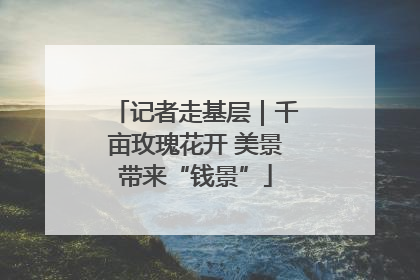 记者走基层｜千亩玫瑰花开 美景带来“钱景”