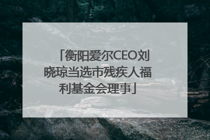 衡阳爱尔CEO刘晓琼当选市残疾人福利基金会理事