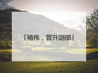 褚伟，晋升副部
