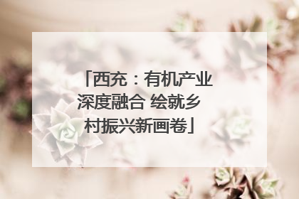 西充：有机产业深度融合 绘就乡村振兴新画卷