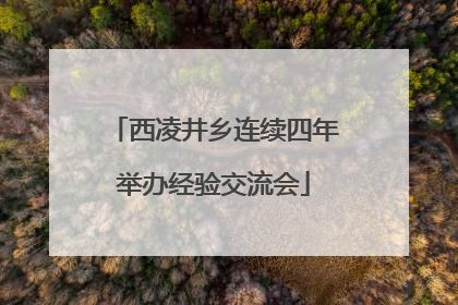 西凌井乡连续四年举办经验交流会