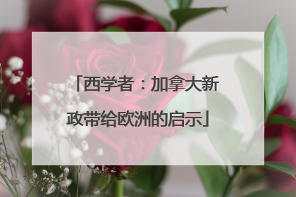 西学者：加拿大新政带给欧洲的启示
