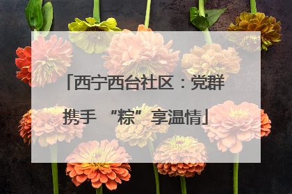 西宁西台社区：党群携手 “粽”享温情