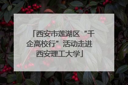 西安市莲湖区“千企高校行”活动走进西安理工大学