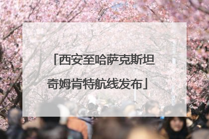 西安至哈萨克斯坦奇姆肯特航线发布