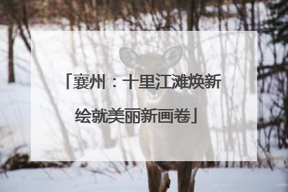 襄州：十里江滩焕新 绘就美丽新画卷