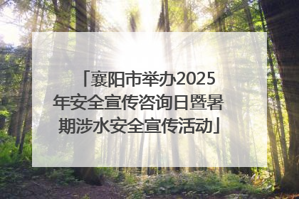 襄阳市举办2025年安全宣传咨询日暨暑期涉水安全宣传活动