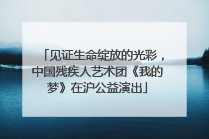 见证生命绽放的光彩，中国残疾人艺术团《我的梦》在沪公益演出