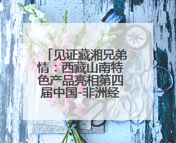 见证藏湘兄弟情：西藏山南特色产品亮相第四届中国-非洲经贸博览会
