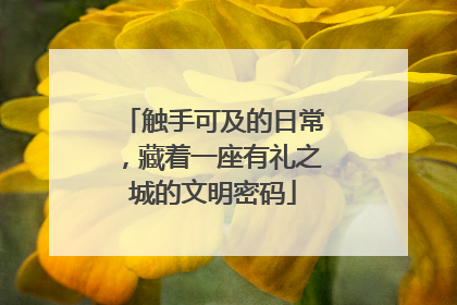 触手可及的日常，藏着一座有礼之城的文明密码