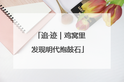 追·迹｜鸡窝里发现明代抱鼓石