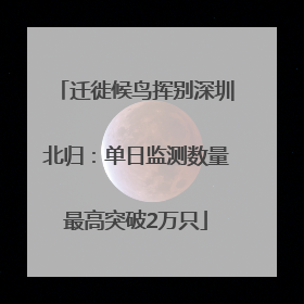 迁徙候鸟挥别深圳北归：单日监测数量最高突破2万只