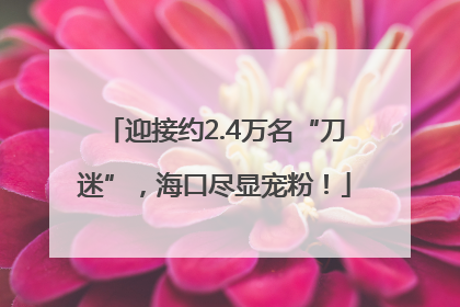 迎接约2.4万名“刀迷”，海口尽显宠粉！