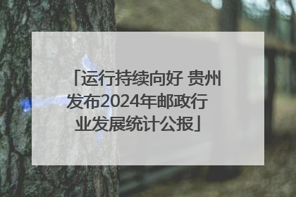 运行持续向好 贵州发布2024年邮政行业发展统计公报