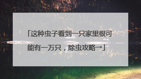 这种虫子看到一只家里很可能有一万只，除虫攻略→