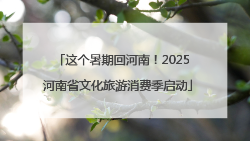 这个暑期回河南！2025河南省文化旅游消费季启动