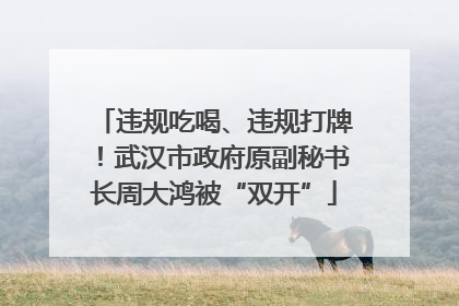 违规吃喝、违规打牌！武汉市政府原副秘书长周大鸿被“双开”