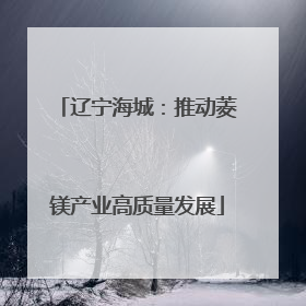 辽宁海城：推动菱镁产业高质量发展