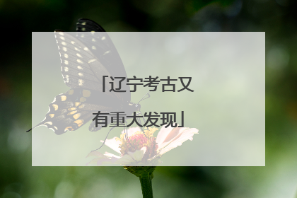 辽宁考古又有重大发现