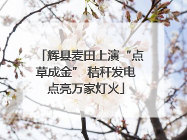 辉县麦田上演“点草成金” 秸秆发电点亮万家灯火