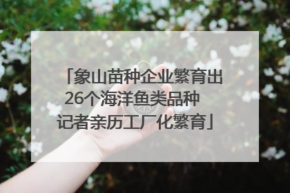象山苗种企业繁育出26个海洋鱼类品种 记者亲历工厂化繁育