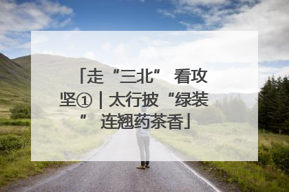 走“三北” 看攻坚①｜太行披“绿装” 连翘药茶香