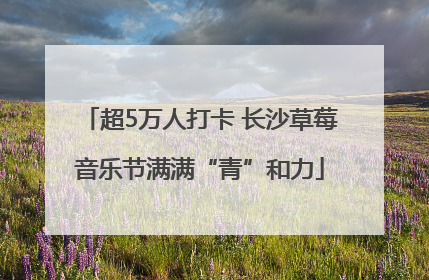 超5万人打卡 长沙草莓音乐节满满“青”和力