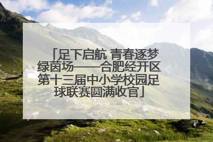 足下启航 青春逐梦绿茵场——合肥经开区第十三届中小学校园足球联赛圆满收官