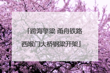 跨海擎梁 甬舟铁路西堠门大桥钢梁开架