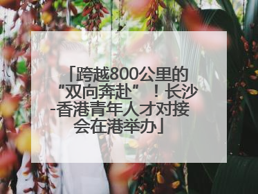 跨越800公里的“双向奔赴”！长沙-香港青年人才对接会在港举办
