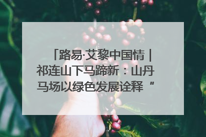 路易·艾黎中国情｜祁连山下马蹄新：山丹马场以绿色发展诠释“两山”理论实践