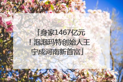 身家1467亿元！泡泡玛特创始人王宁成河南新首富