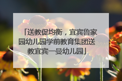 送教促均衡，宜宾鲁家园幼儿园学前教育集团送教宜宾一曼幼儿园
