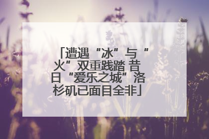 遭遇“冰”与“火”双重践踏 昔日“爱乐之城”洛杉矶已面目全非