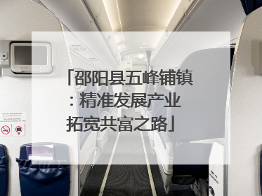邵阳县五峰铺镇：精准发展产业 拓宽共富之路