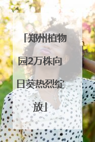 郑州植物园2万株向日葵热烈绽放