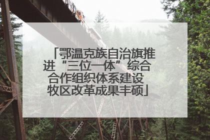 鄂温克族自治旗推进“三位一体”综合合作组织体系建设 牧区改革成果丰硕