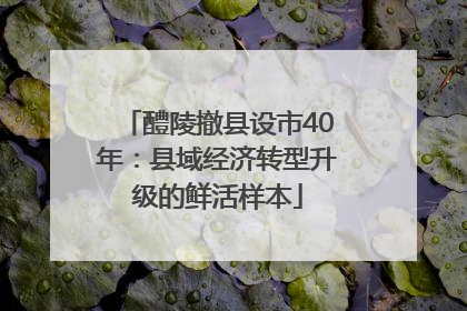 醴陵撤县设市40年：县域经济转型升级的鲜活样本