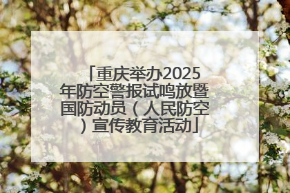 重庆举办2025年防空警报试鸣放暨国防动员（人民防空）宣传教育活动